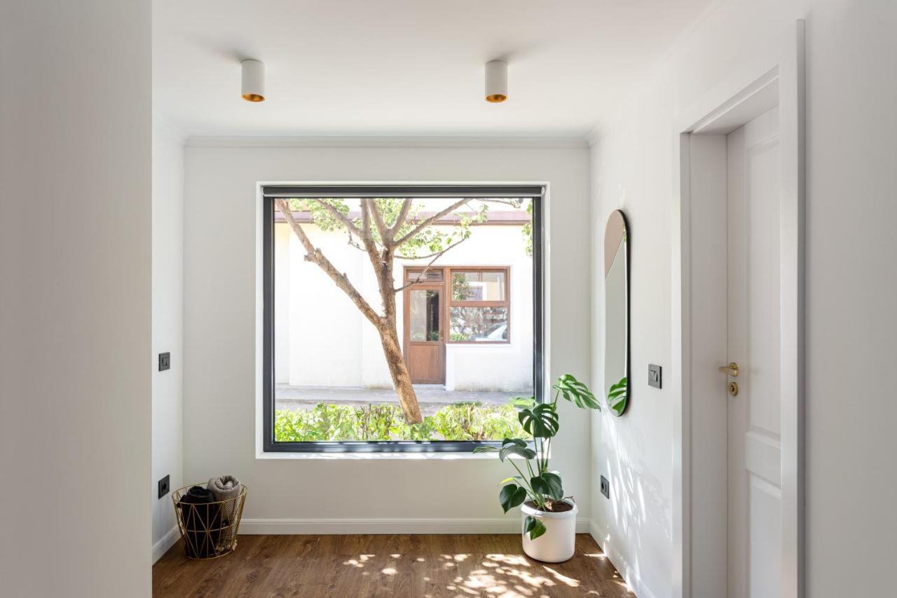 Designer Apartment In The City Center 克卢日-纳波卡 外观 照片