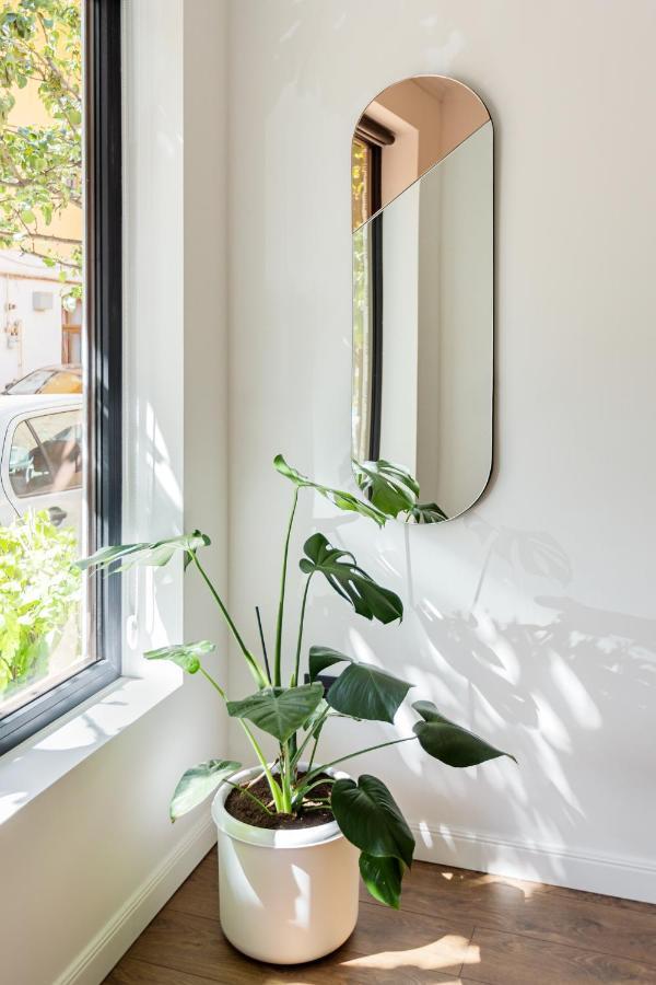 Designer Apartment In The City Center 克卢日-纳波卡 外观 照片